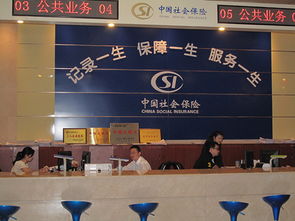 深圳社保代辦與代繳服務(wù)全解析 價(jià)格、選擇與合規(guī)指南
